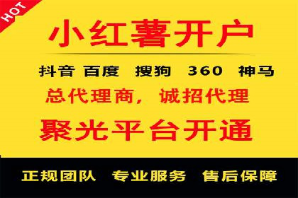 信息流托管服务助力企业品牌建设案例